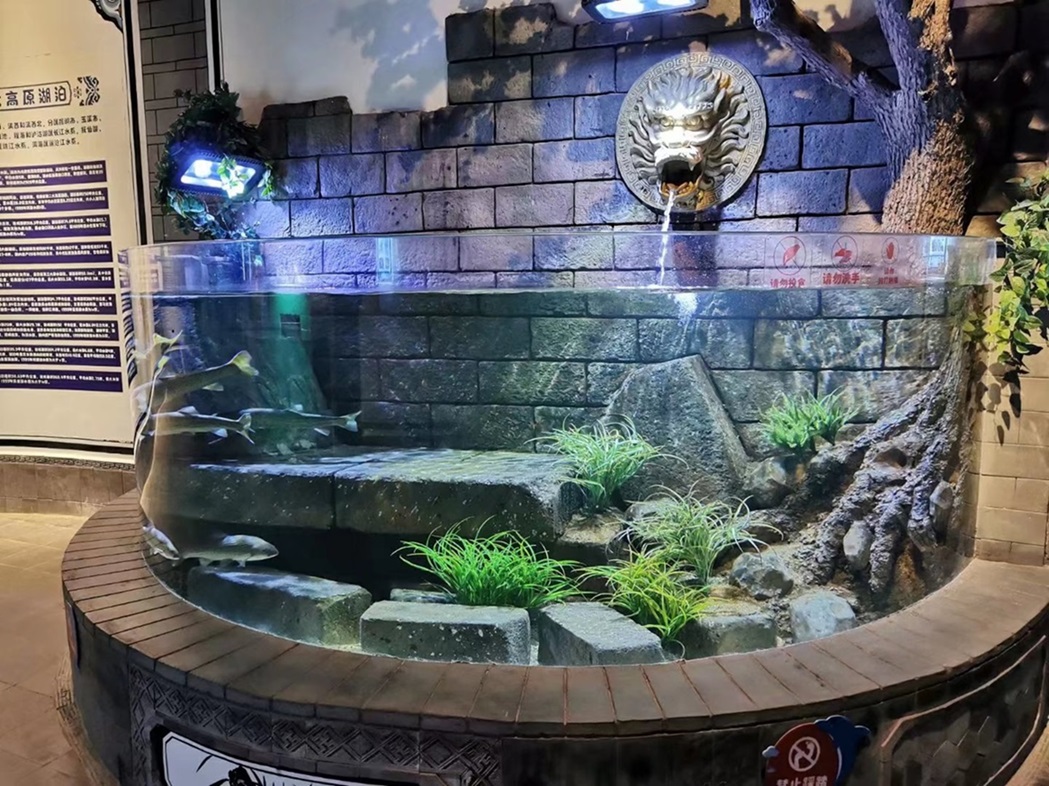 Fish Tank Túnel de