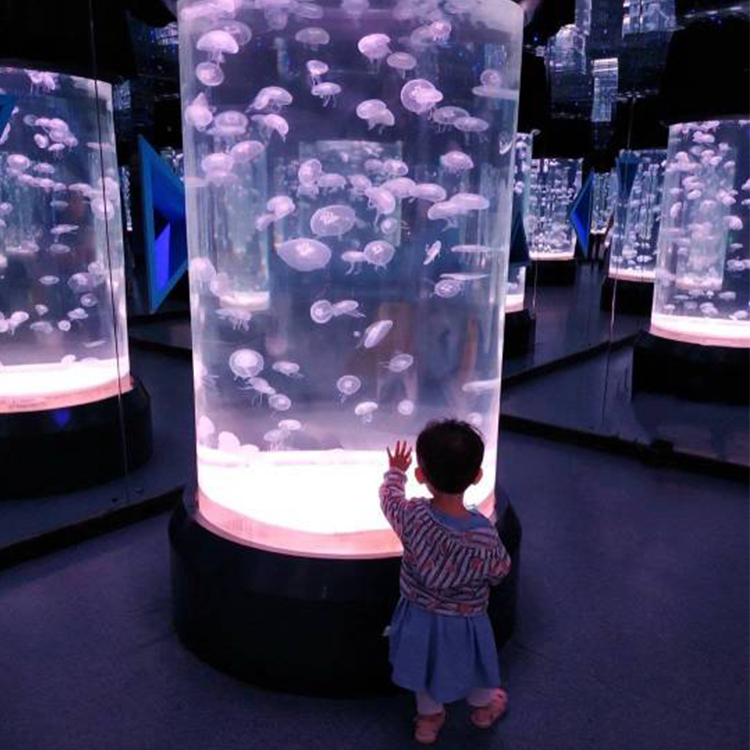 Aqu&aacute;rio de medusas - Leyu