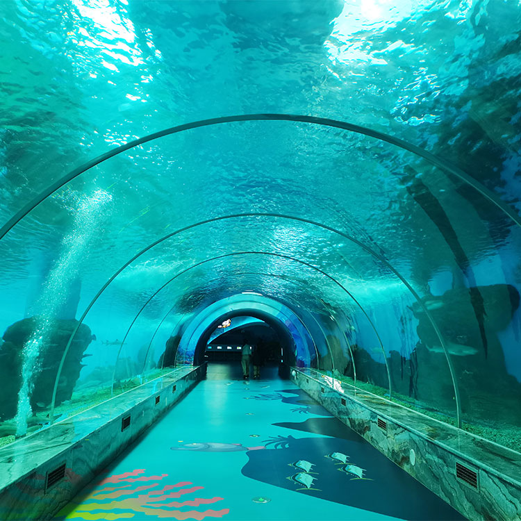 t&uacute;nel