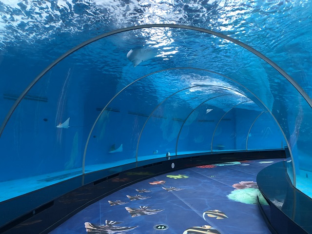 t&uacute;nel de aqu&aacute;rio