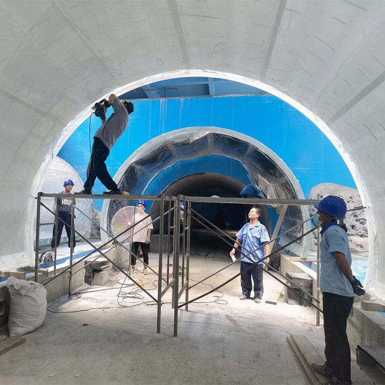 t&uacute;nel de aqu&aacute;rio