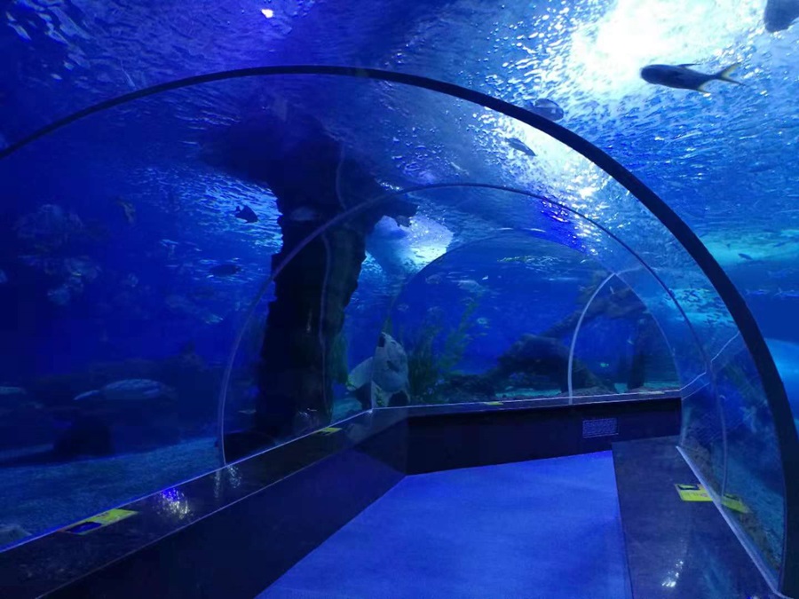 T&uacute;nel do Aqu&aacute;rio Leyu - Longchuan Polar Ocean World na prov&iacute;ncia de Guizhou (7)