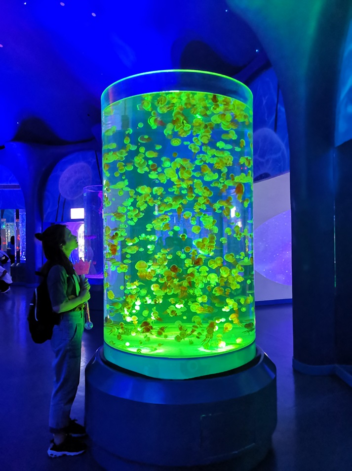 Shanghai Haichang Polar Ocean Park - Aqu&aacute;rio de &Aacute;gua-viva Arylic Leyu