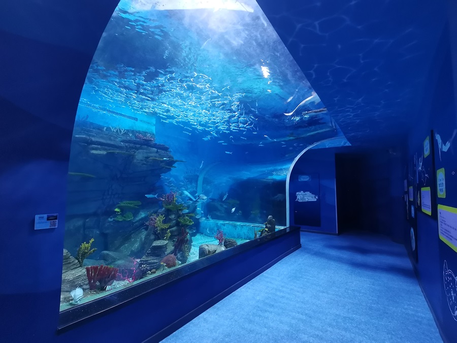 Janela acr&iacute;lica dos aqu&aacute;rios Leyu - Longchuan Polar Ocean World na prov&iacute;ncia de Guizhou (3)