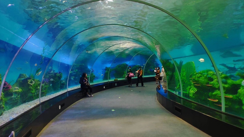 T&uacute;nel do Aqu&aacute;rio Leyu