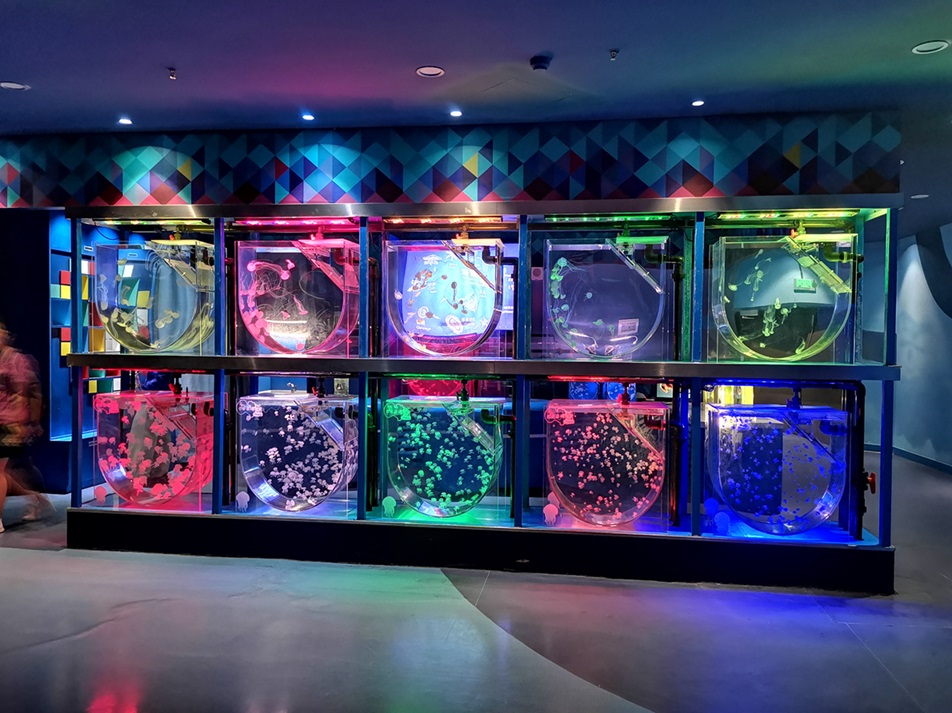 Shanghai Haichang Polar Ocean Park - Aqu&aacute;rio de Medusas Leyu