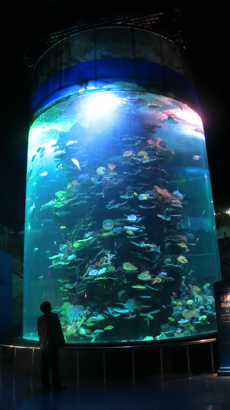 Mundo subaqu&aacute;tico de Shandong Penglai - Leyu Arylic Cylindrical Aquarim
