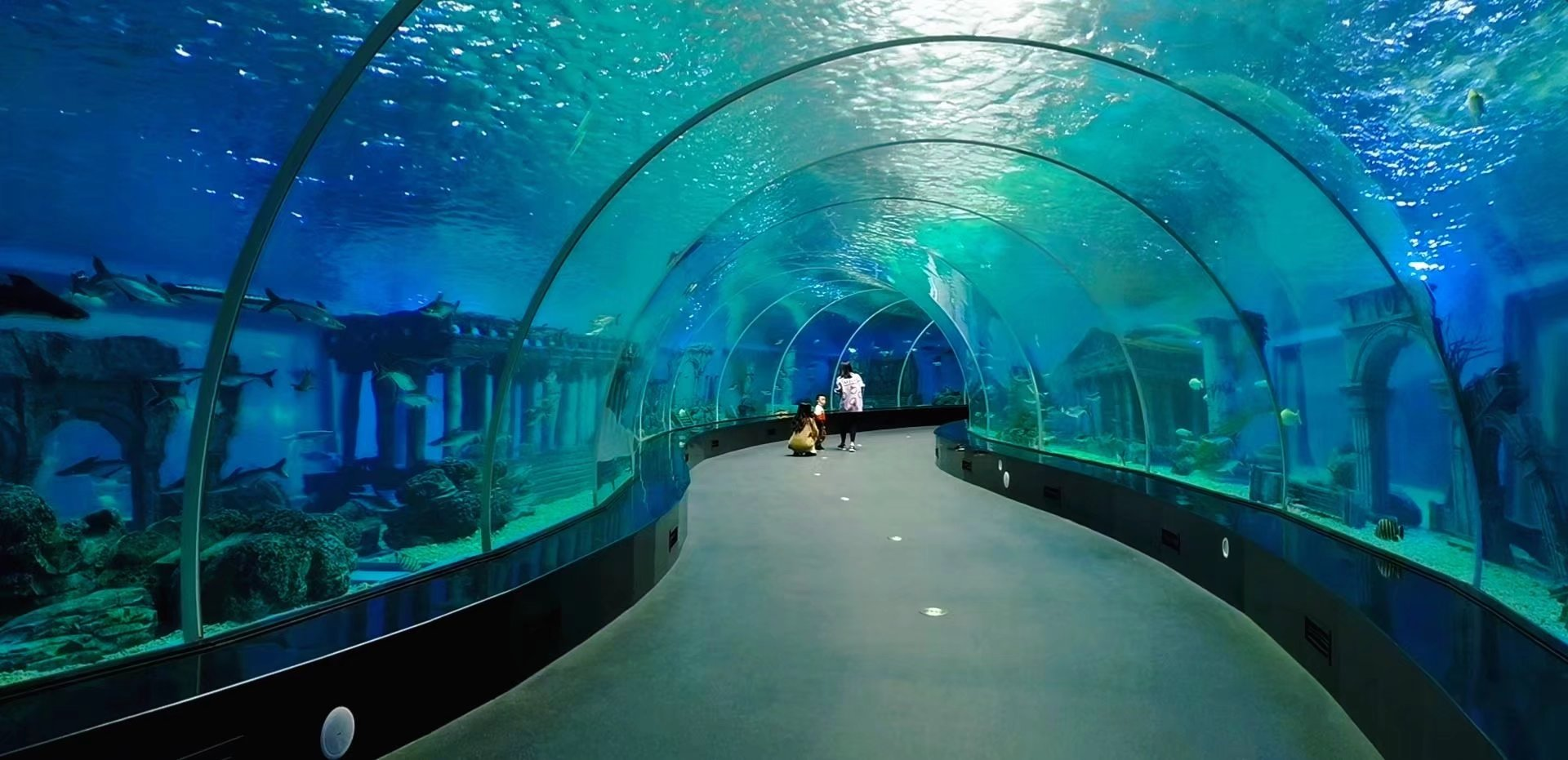 F&aacute;brica de t&uacute;nel de aqu&aacute;rio acr&iacute;lico