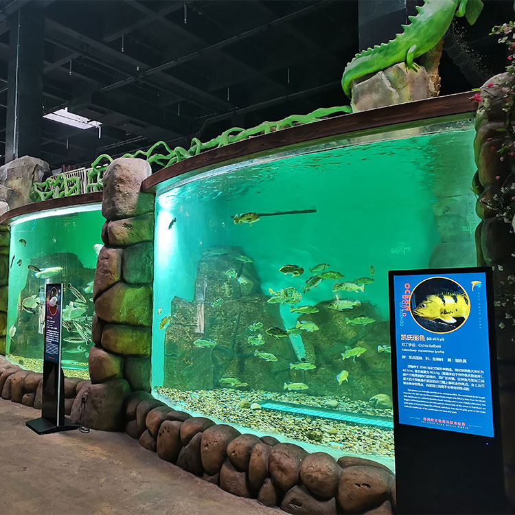 Janela Leyu Arylic Aquarim