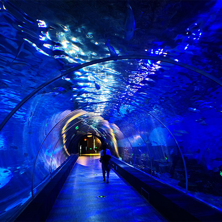 Aqu&aacute;rio t&uacute;nel acr&iacute;lico - f&aacute;brica