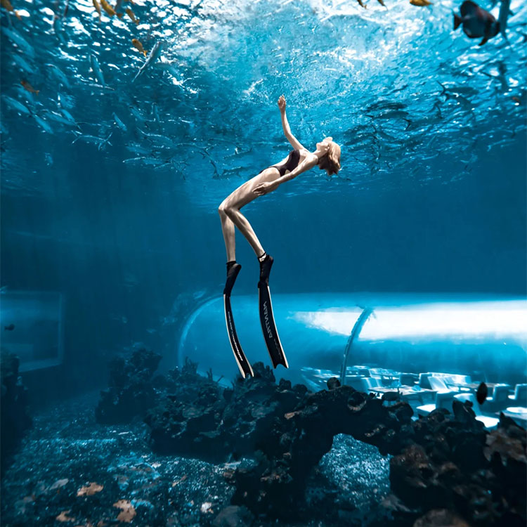  Instala&ccedil;&atilde;o de t&uacute;nel de aqu&aacute;rio - Leyu