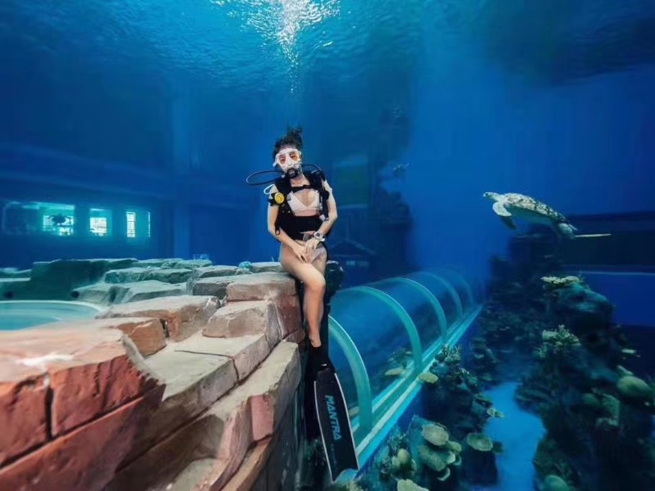 Dali Polar Ocean World - Aqu&aacute;rio Acr&iacute;lico (2)