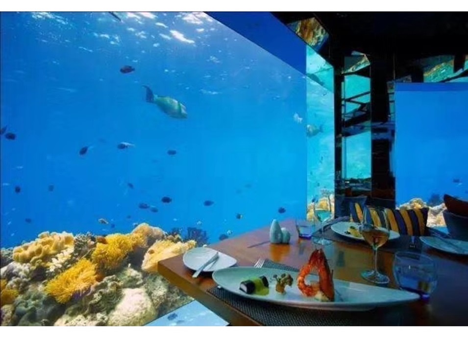 Dali Polar Ocean World - Aqu&aacute;rio Acr&iacute;lico (3)