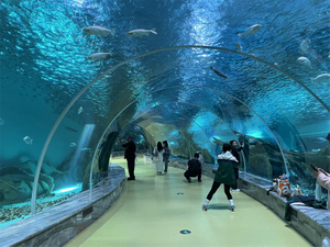 Restaurante Oceanário como se livrar das algas no aquário Leyu personalização profissional - Leyu