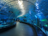 Aquário Aqualife construído pela Leyu Acrílico Aquarium Factory - Leyu