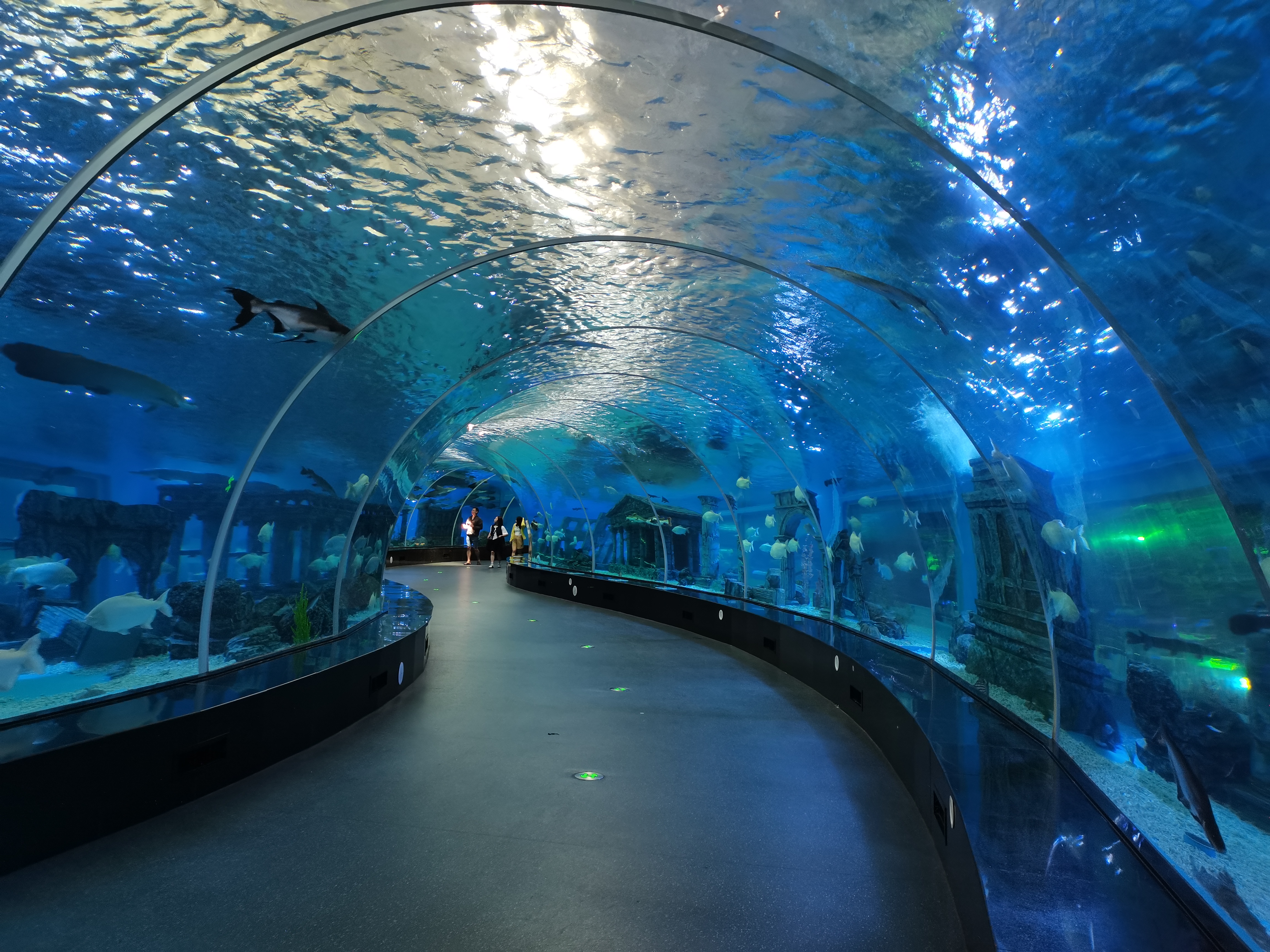 Aquário Aqualife construído pela Leyu Acrílico Aquarium Factory - Leyu