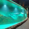 Fábrica de produtos de folha acrílica personalizada para aquário Oceanarium-Leyu 