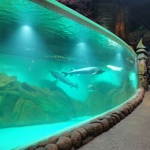Fábrica de produtos de folha acrílica personalizada para aquário Oceanarium-Leyu 
