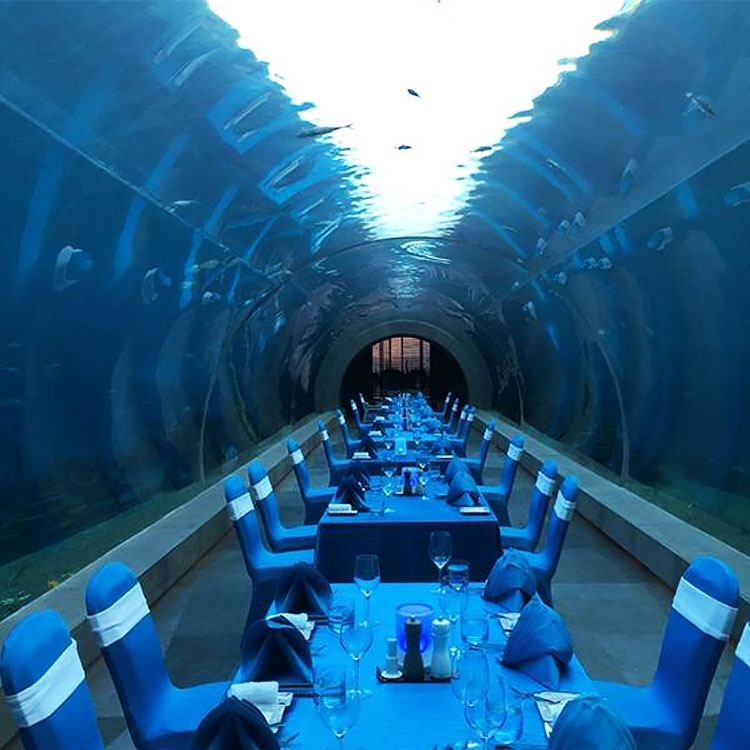 Grande ultra claro curvo oceanário tanques de aquário túnel de vidro acrílico Leyu fábrica de aquário acrílico - Leyu 