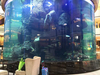 Qual é o melhor limpador para tanques de aquário de peixes acrílicos Ocean Park Cusotm Fish Tank- Leyu 
