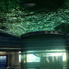 Oceanário Mount Desert explore o oceanário mundial do oceano Leyu Personalização Profissional - Leyu