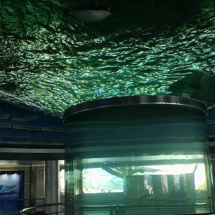 Oceanário Mount Desert explore o oceanário mundial do oceano Leyu Personalização Profissional - Leyu