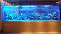 //irrorwxhmmkrpl5m.ldycdn.com/cloud/pjBmqKmipmSRploqokojkr/How-to-own-Acrylic-Aquariums-Plastic-Fish-aquariums-Leyu.jpg