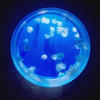 Pet Jellyfish EUA Pet Jellyfish At Home aquário de medusas vivas aquário de medusas vivas para venda - Leyu 