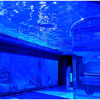 Painéis acrílicos curvos painéis curvos de plexiglass® Como dobrar chapas acrílicas - Leyu