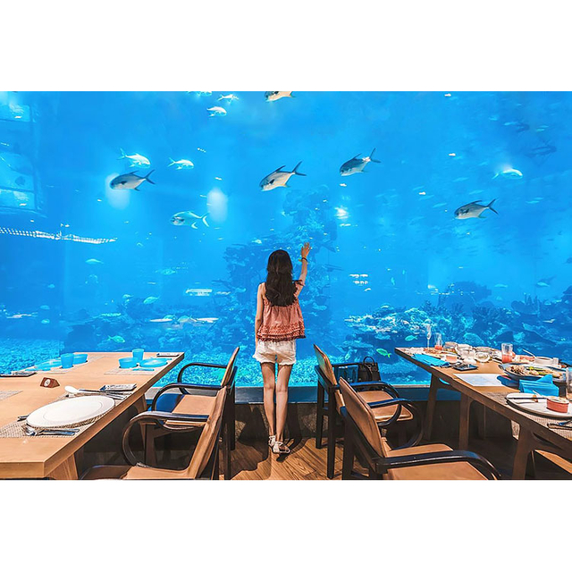 Itens populares no Ocean Park na fábrica de acrílico Washington-leyu - Leyu