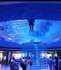 Oceanário de Lisboa explore o oceanário mundial A fábrica Leyu Acrílico Aquarium é especializada na construção de oceanários. -Leyu