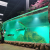 O oceanário é popular entre os turistas na fábrica de produtos de chapa acrílica de Chicago-Leyu