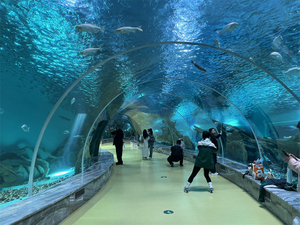 O aquário túnel perto de nós é feito de folha acrílica Leyu - Leyu 