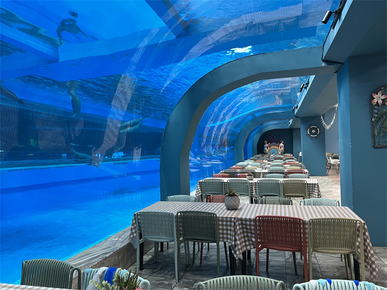 Grande ultra claro curvado oceanário tanque de aquário acrílico túnel de vidro fábrica de aquário acrílico Leyu - Leyu 