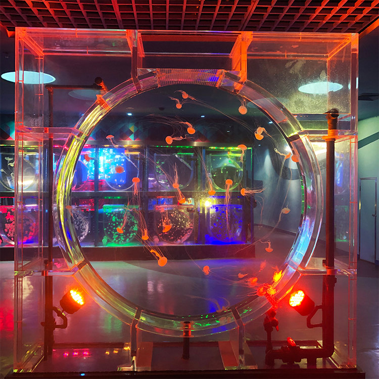Leyu Acrílico Aquarium Factory produz aquário acrílico de 100 galões - Leyu 