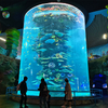 Itens populares no Ocean Park na fábrica de acrílico Washington-leyu - Leyu