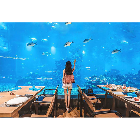 Por que o restaurante Large Acrílico Ocean usa painéis de acrílico - Fábrica de produtos de folha acrílica Leyu
