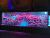 Leyu acrílico fornece grandes tanques de peixes de aquário de acrílico transparentes para venda - Leyu