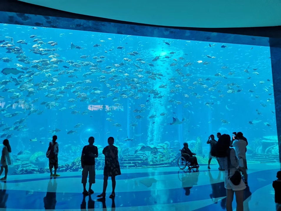 Dali Polar Ocean World - Aquário