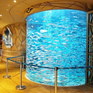 Aquários comerciais de acrílico para peixes produzidos por fábrica profissional - Leyu 