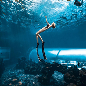 Aquário Túnel Aquário túnel subaquático - LEYU