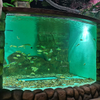 A fábrica chinesa é especializada em janelas de acrílico personalizadas para oceanário.- leyu 