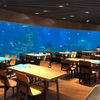 A loja Aquarium Cafe tem janelas de acrílico, túneis de aquário acrílico e tanques de peixes de acrílico - Leyu