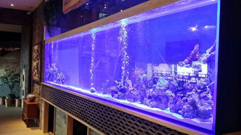 Fornecimento de fábrica personalizado grande tanque de peixes acrílico aquário Leyu A fábrica de acrílico personaliza para você - LEYU