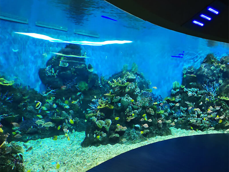 Chongqing Hanhai Polar Ocean World - Leyu Arylic Aquarim