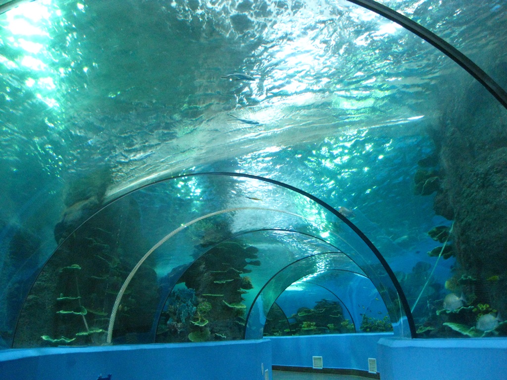 Hefei Hanhai Polar Ocean World - Leyu Arylic Aquarim