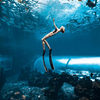 O lindo aquário grande túnel acrílico - Fábrica de produtos de folha acrílica Leyu