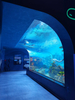 Le Yu Acrílico Factory leva você para explorar o oceanário Sea World - Leyu