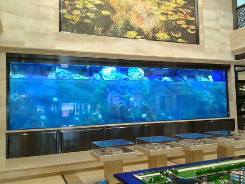 Leyu acrílico fornece grandes tanques de peixes de aquário de acrílico transparentes para venda - Leyu