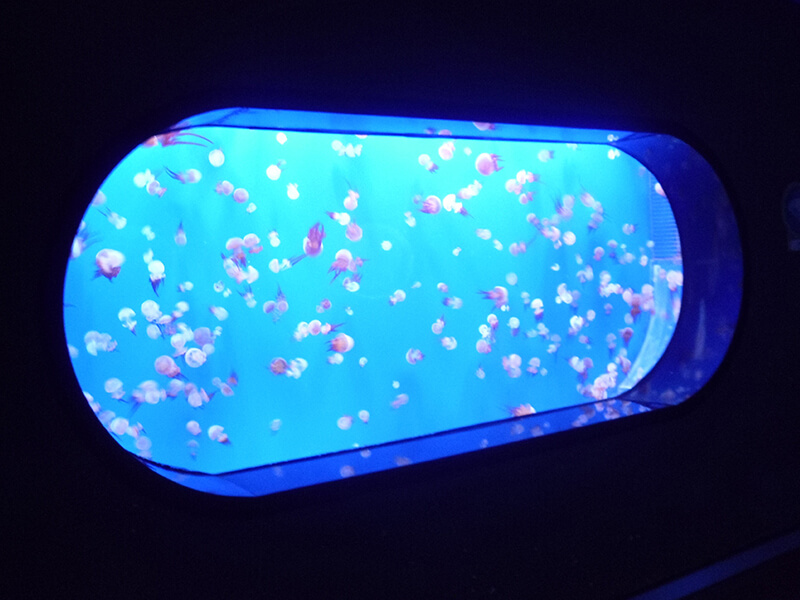 Mundo Subaquático de Nanjing - Leyu Arylic Aquarim
